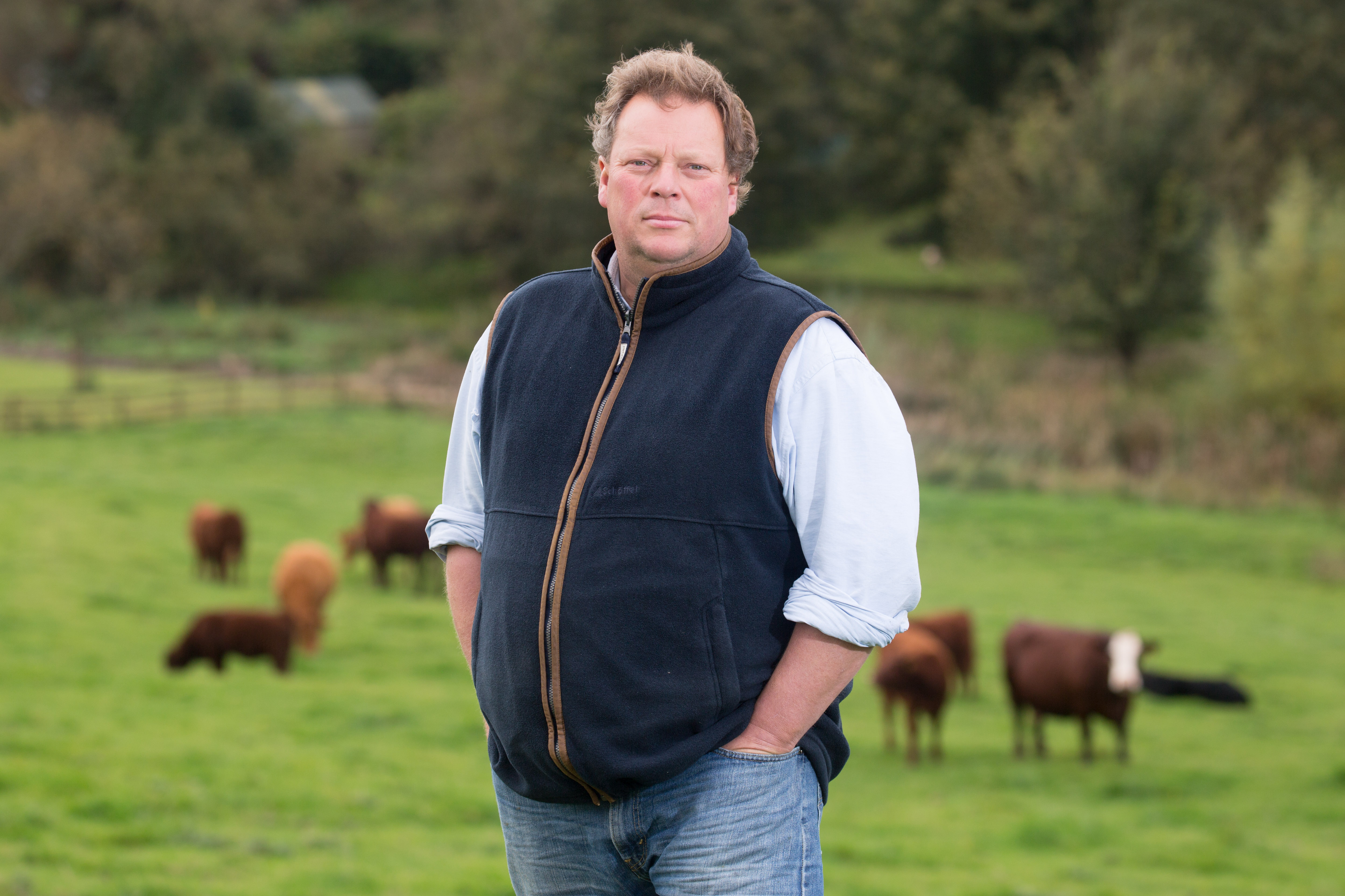 Strategic Farmer, David Barton, in field with cows behind